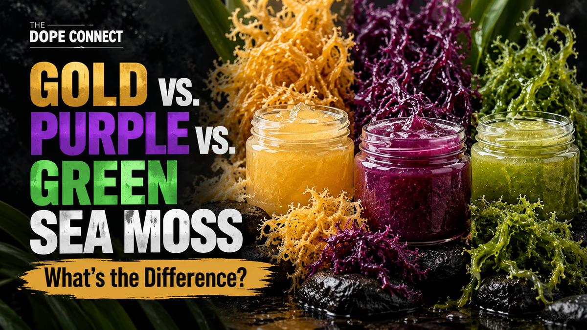 Gold, purple, and green sea moss comparison by The Dope Connect